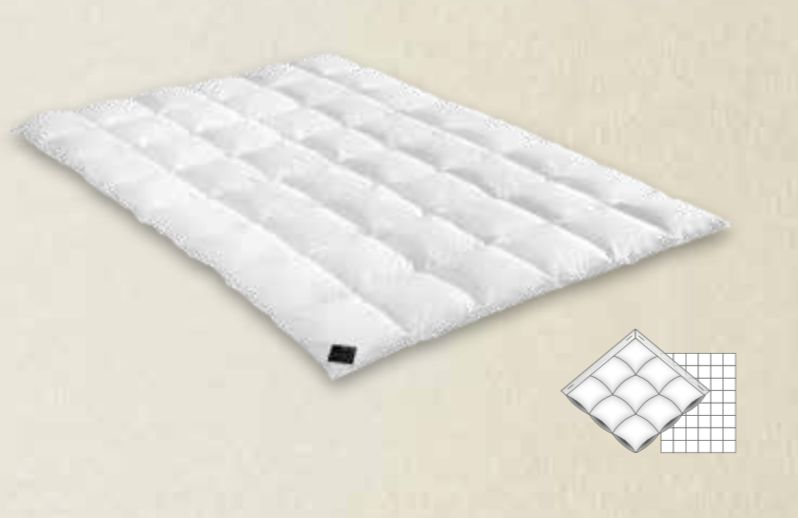 Brinkhaus Charme Duvet ( 100% new silver-white large-fluffed Canadian wild goose )