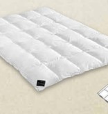 Brinkhaus Couette Chalet (100 % duvet d'oie canadienne blanc pur neuf)