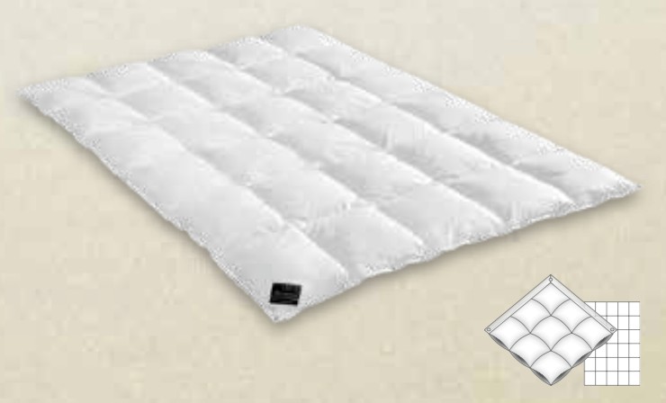 Brinkhaus Couette Chalet (100 % duvet d'oie canadienne blanc pur neuf)