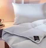 Brinkhaus Charme Duvet ( 100% new silver-white large-fluffed Canadian wild goose )