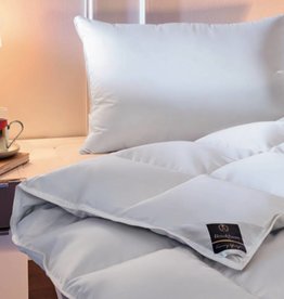 Brinkhaus Charme Duvet ( 100% new silver-white large-fluffed Canadian wild goose )