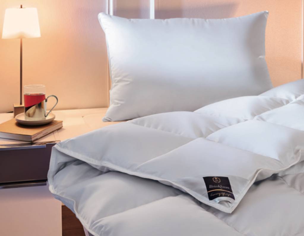 Brinkhaus Couette Charme (100% neuve, blanc argenté, grosse laine d'oie sauvage canadienne moelleuse)