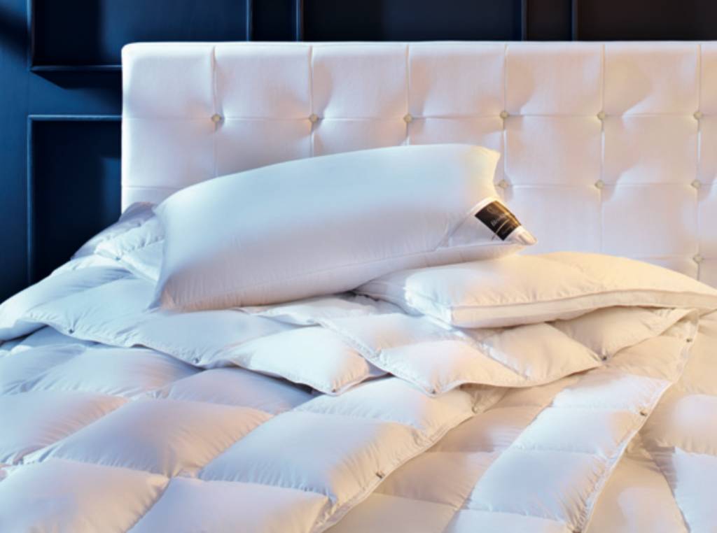Brinkhaus Couette Chalet (100 % duvet d'oie canadienne blanc pur neuf)