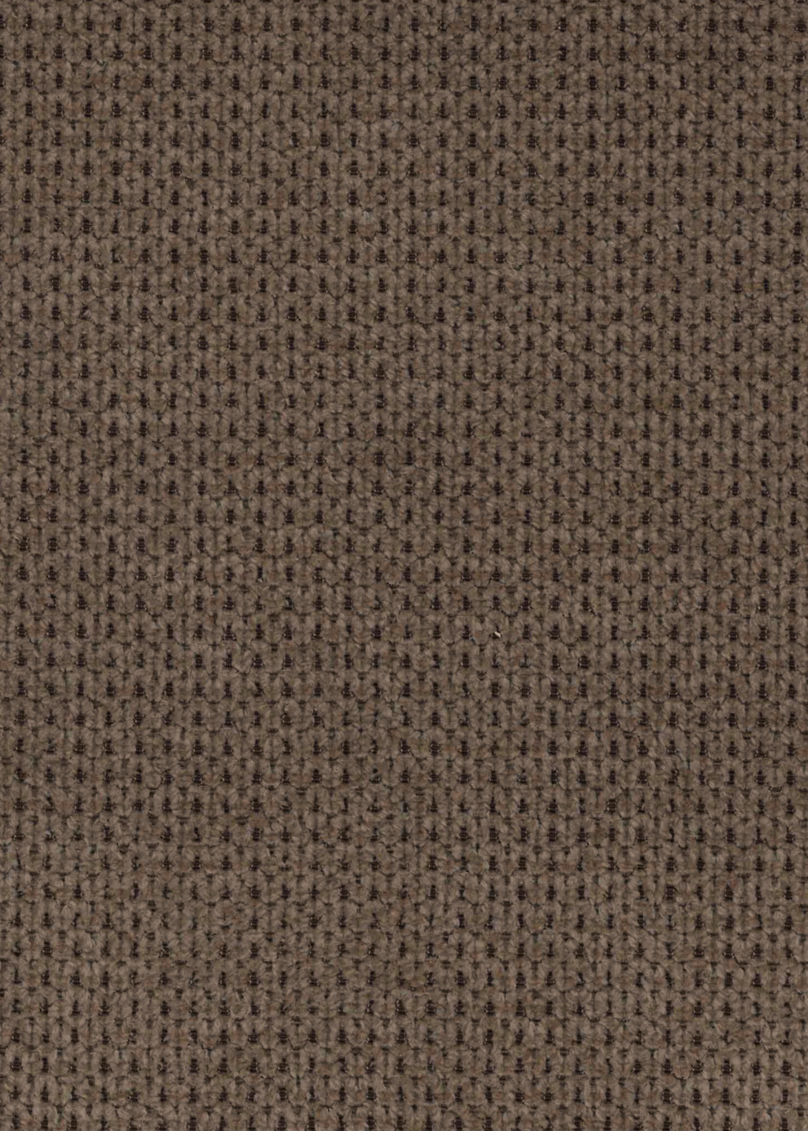 norma Boxspring  Norma New 1884