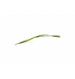 Loxone Verbindingsdraad (100m)