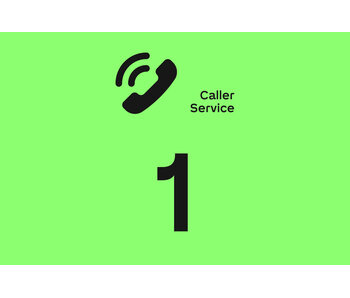 Loxone Caller Service