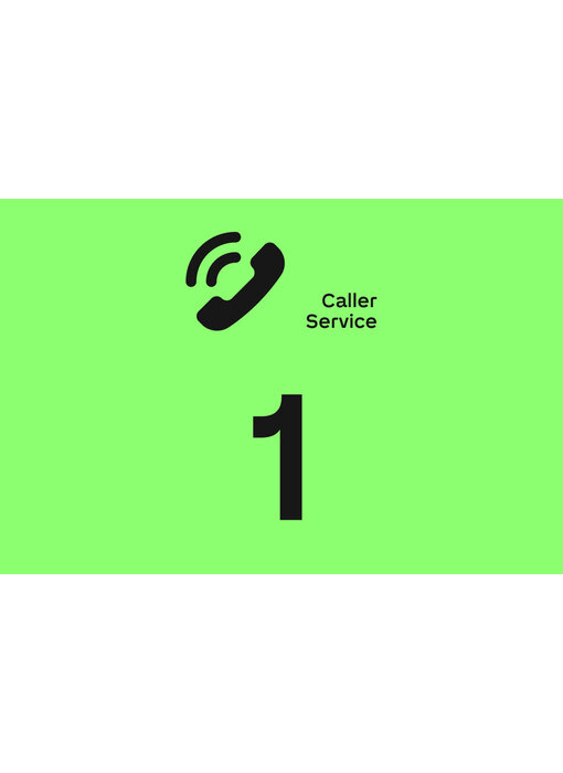 Loxone Caller Service