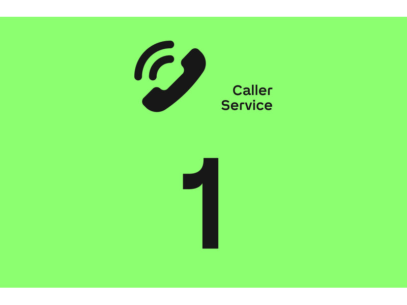 Loxone Caller Service