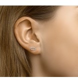 Ear studs link form