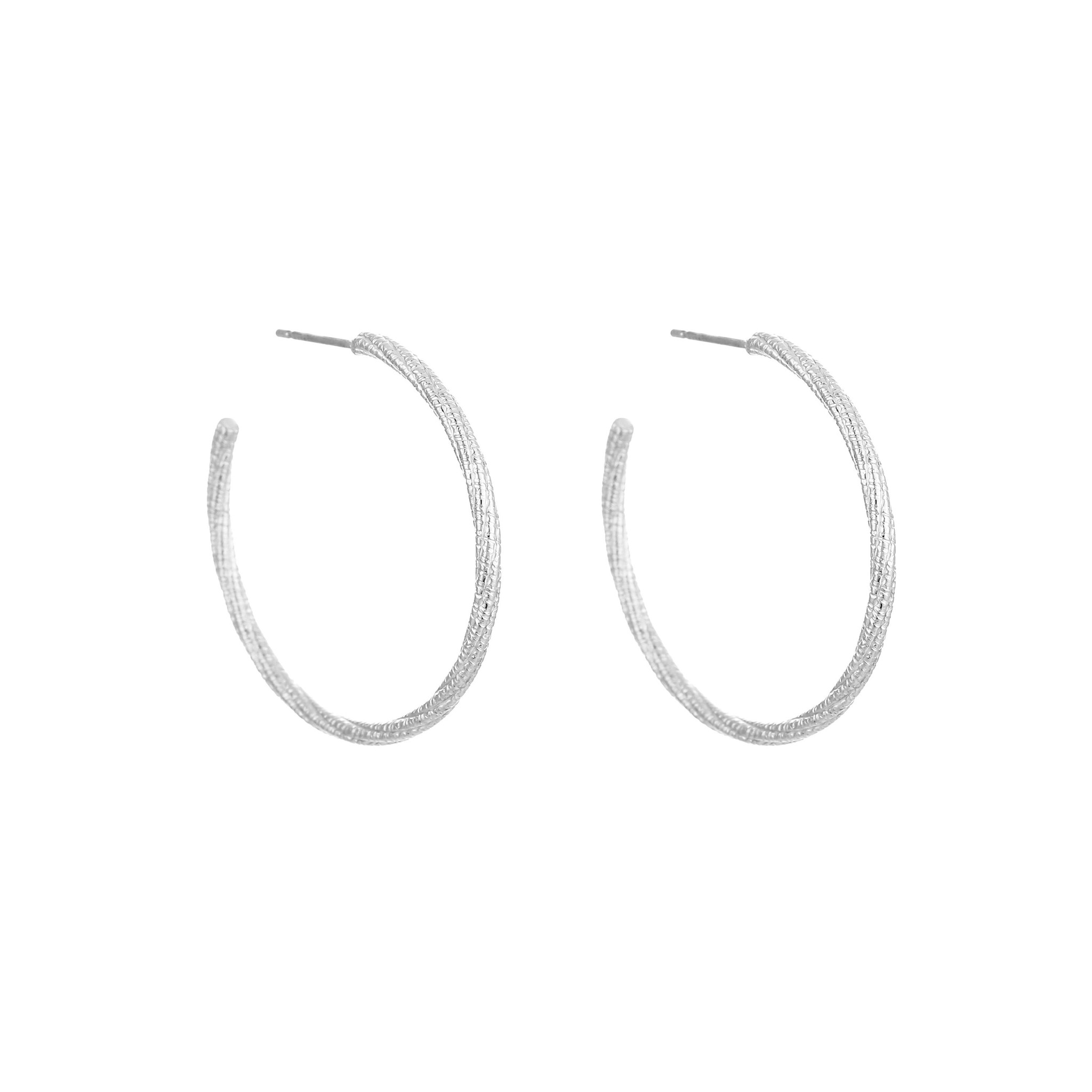 Stainless Steel Hoop Earrings with Shiney Pattern