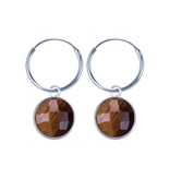 Tigers Eye Earrings