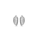 LAVI Sterling Silver Feather Stud Earrings