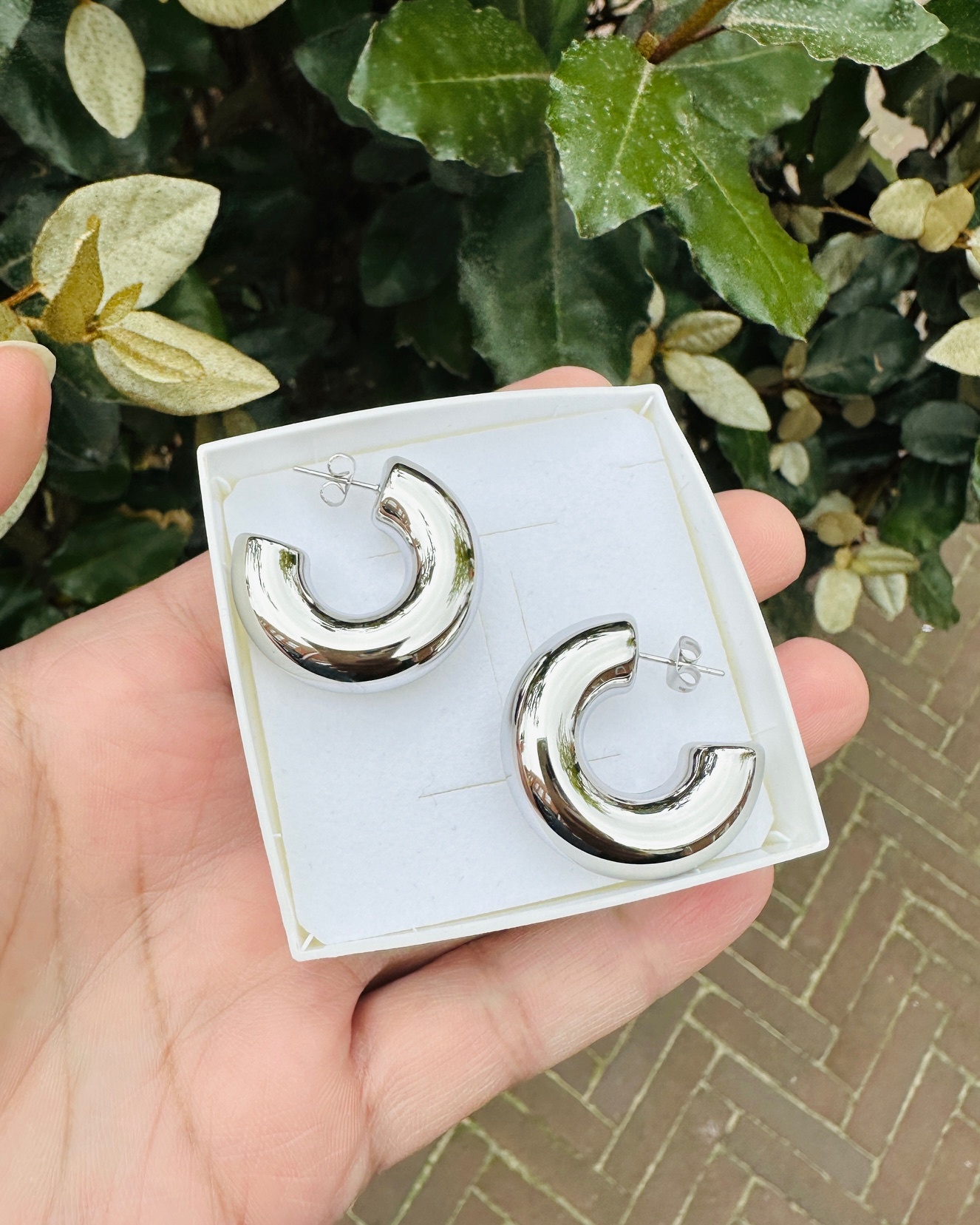 Stainless Steel Statement Hoop earrings