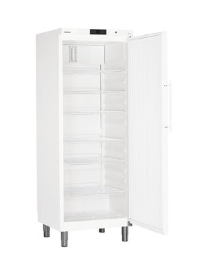 Liebherr GKv 6410 professionele koelkast