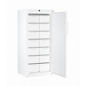 Liebherr koelkasten en vrieskasten  G 5216 Professionele vrieskast