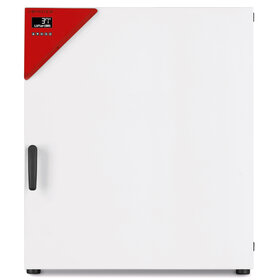 Binder Incubator BF 260 met geforceerde lucht circulatie