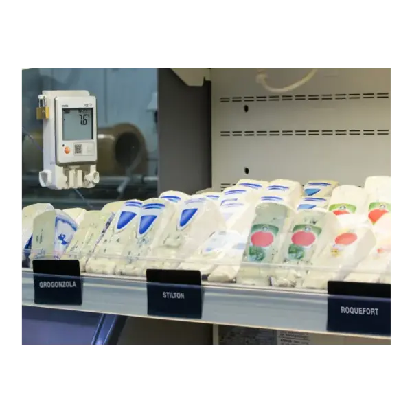 Testo 162 T1 Cloud datalogger met display en geïntegreerde temperatuursensor Testo 162 T1 Cloud datalogger met display en geïntegreerde temperatuursensor