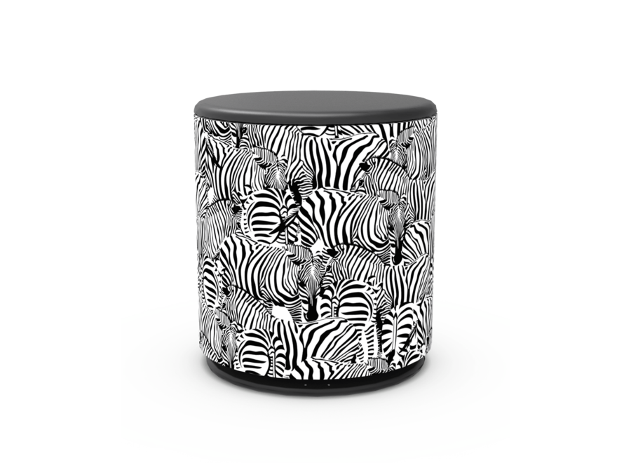 Cover Beoplay M5 - Zebre