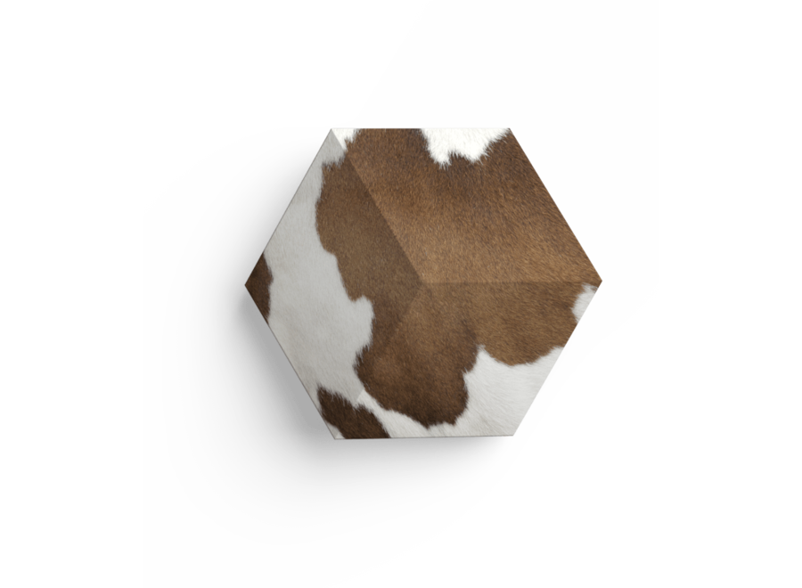 Cover Beosound Shape - Cow