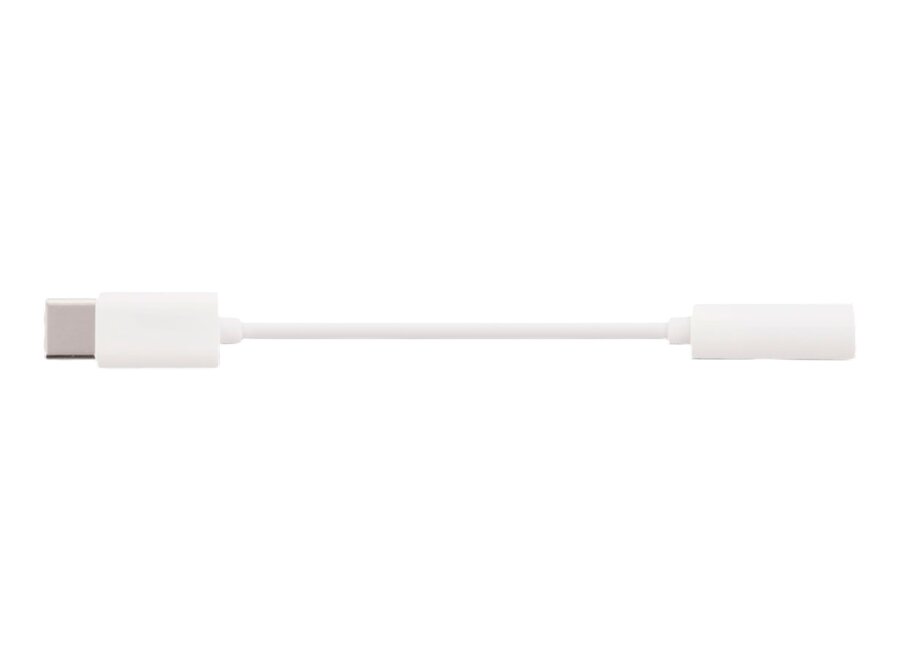 BeoLab 8 USB-C Line-in mini Jack