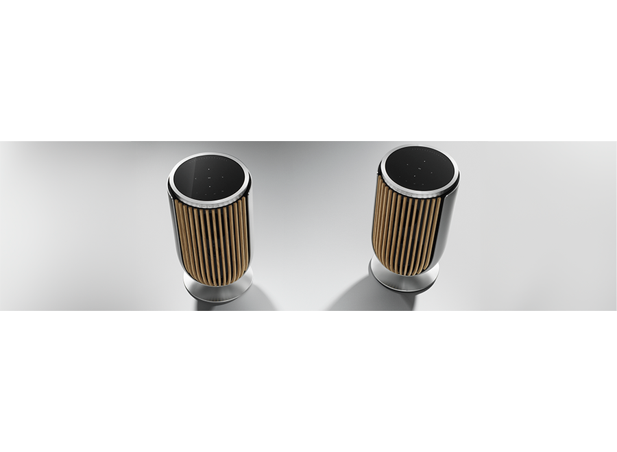 BeoLab 8 USB-C Line-in mini Jack