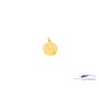 18k medallion gold charm