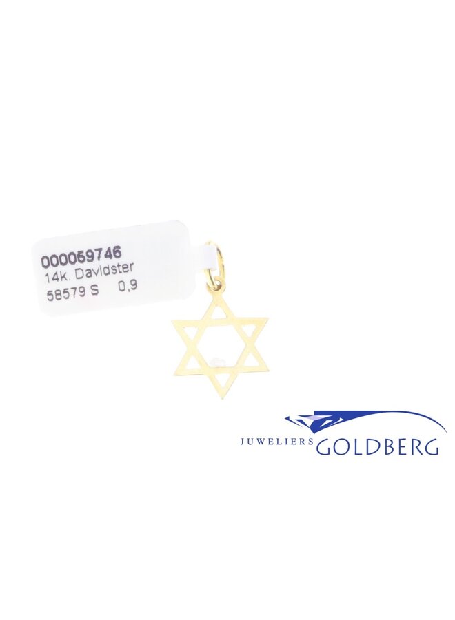 14k gold Star of David charm