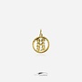 14k gouden vintage sterrenbeeld hanger tweelingen