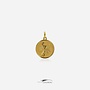 18k gouden vintage schorpioen hanger