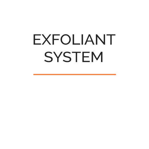 Exfoliant System 
