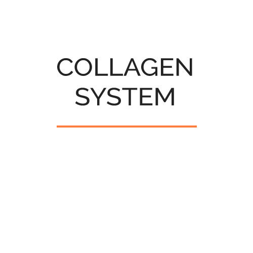 Collagen System