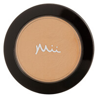 Mineral Foundation Irresistible Face Base 04 Precious Nude