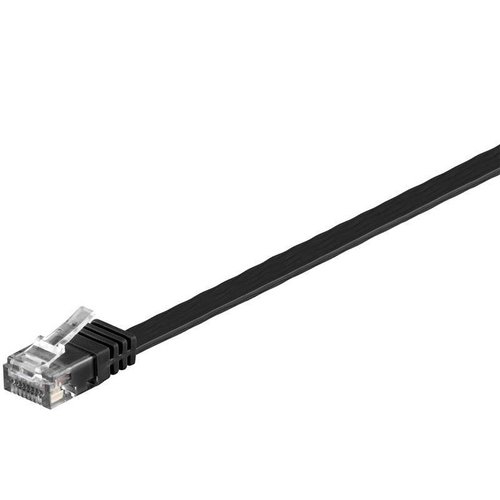 Cat6 - Flat