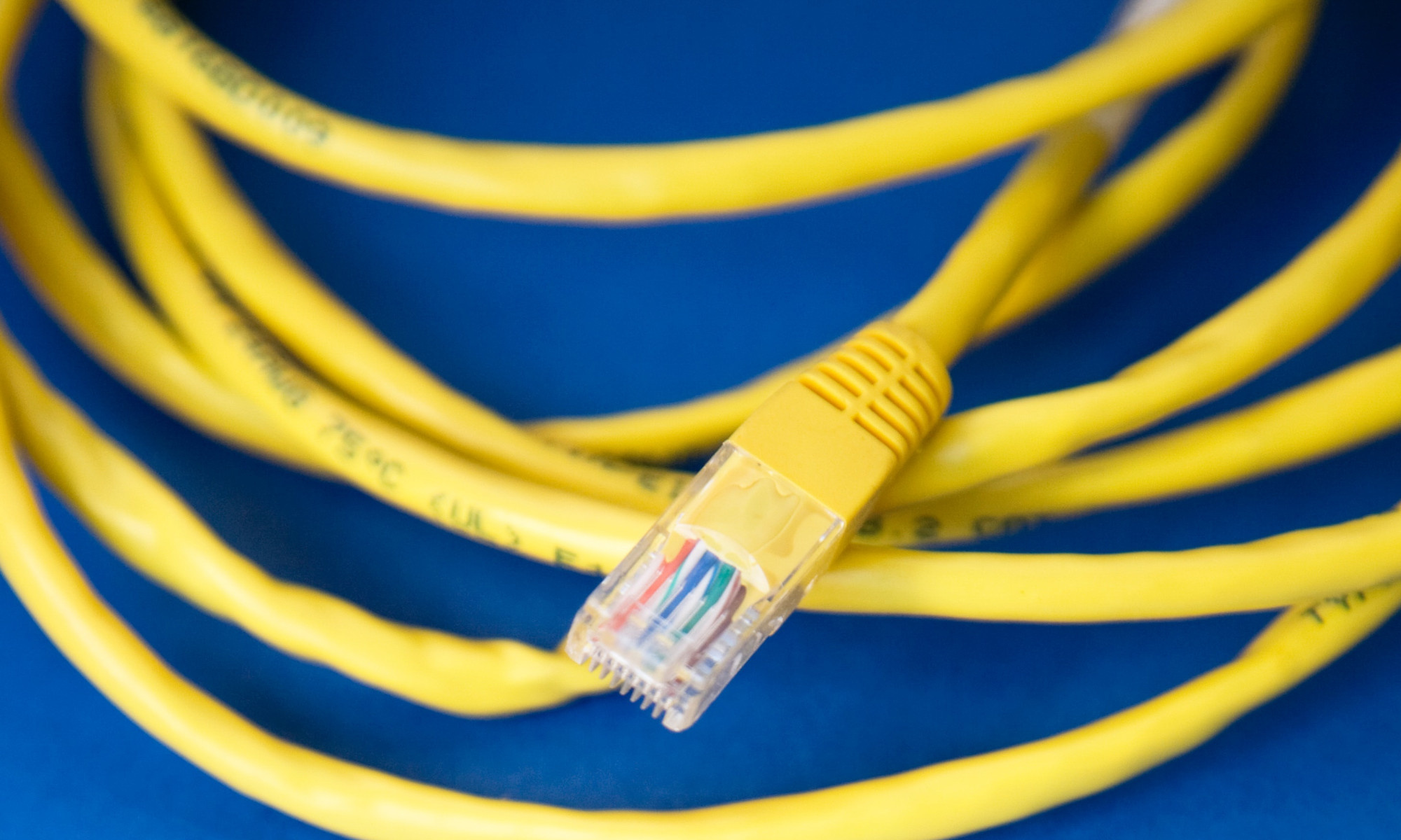 tafel Lang op tijd Wat is een UTP kabel? Complete uitleg van U tot P - Netwerkkabel.eu