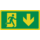 Pikt-o-Norm Pictogramme sortie de secours en bas
