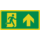 Pikt-o-Norm Pictogramme sortie de secours tout droit