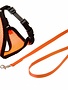 Karlie/Flamingo Harness for cats