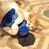 Petstages Kitty Cuddle Pal