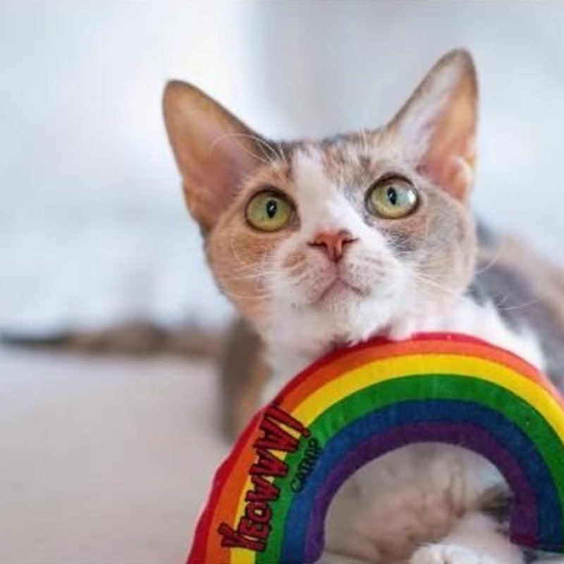 Yeowww! Regenboog Yeowww! Regenboog