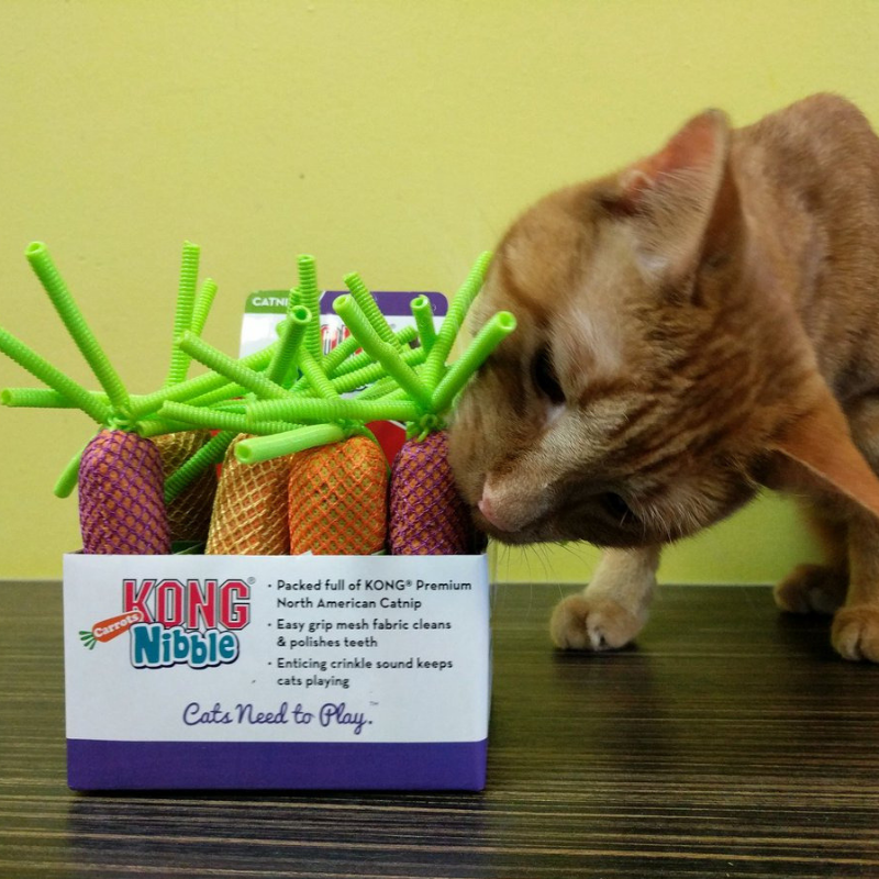 Kong Cat Nibble Carrots