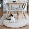 MyKotty EMI Cat Bed