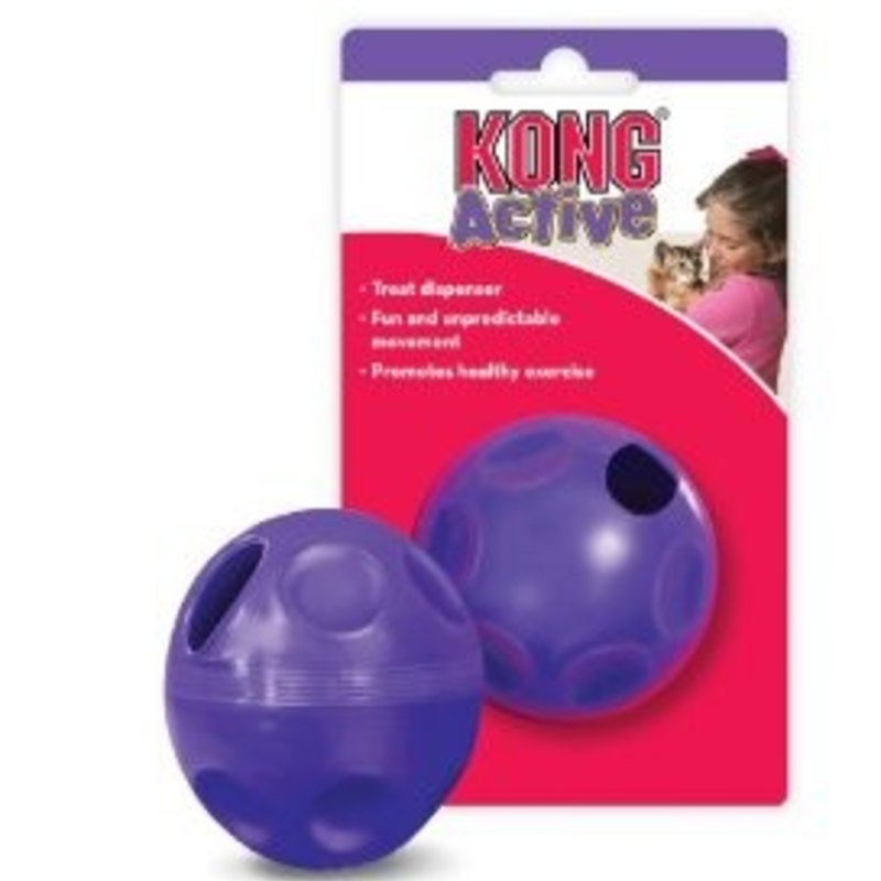 Kong Treat Ball