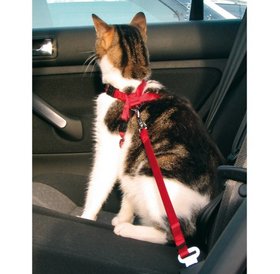 Trixie Safety harnass for cats