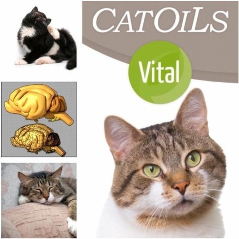 Vital CatOils Vital