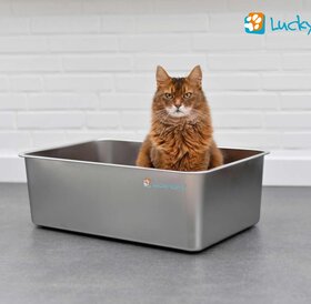 Lucky Kitty Stainless steel cat litter box XXL