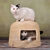 Lucky Kitty Neko Chigura cat basket