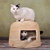 Lucky Kitty Stainless steel cat litter box XXL - Copy