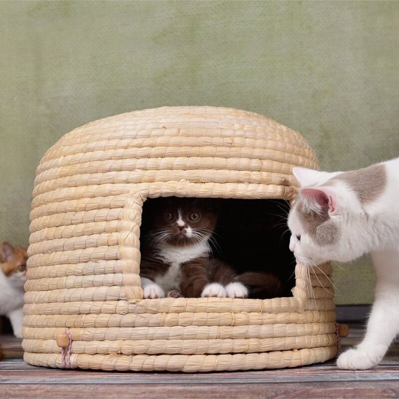 Lucky Kitty Neko Chigura cat basket
