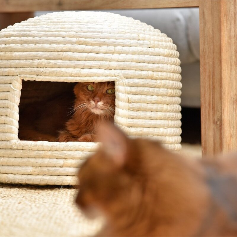 Lucky Kitty Neko Chigura cat basket