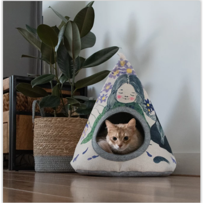 Tipi